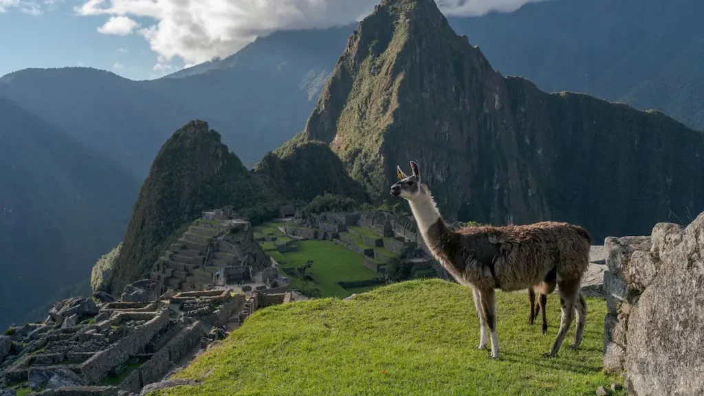machupicchu viajes
